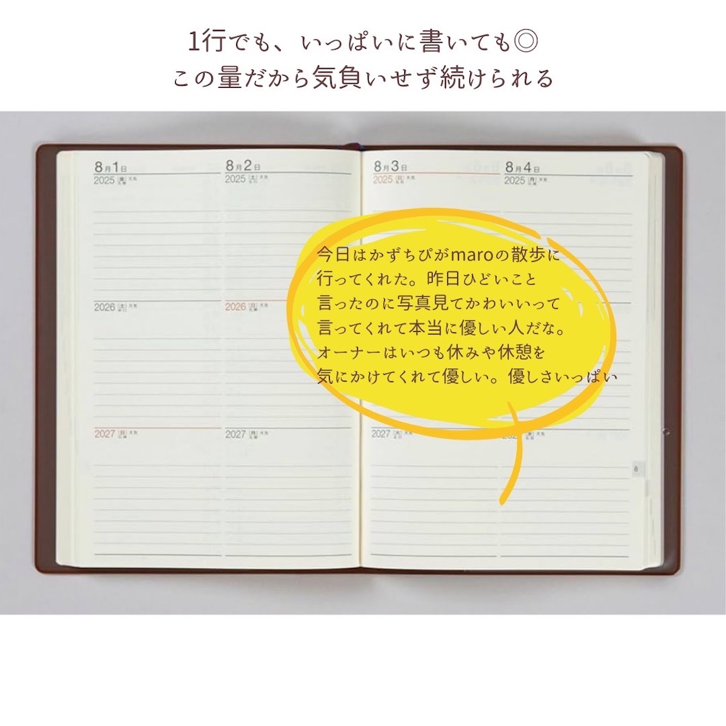 f:id:miikoblog:20250430081000j:image