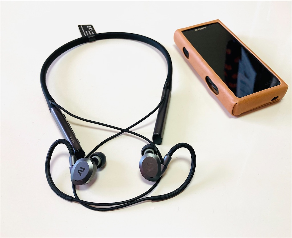 Ausounds AU-Flex ANC ハイブリッド・平面駆動型ワイヤレス