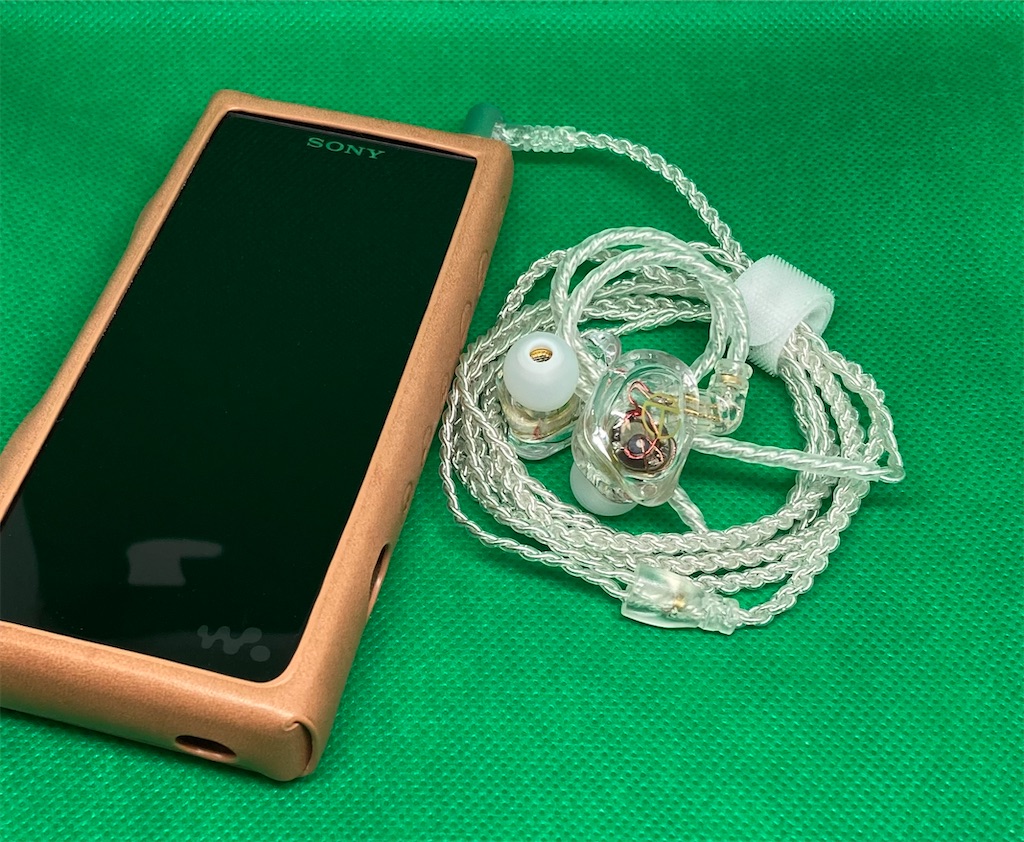 f:id:miineco106:20210627152411j:image