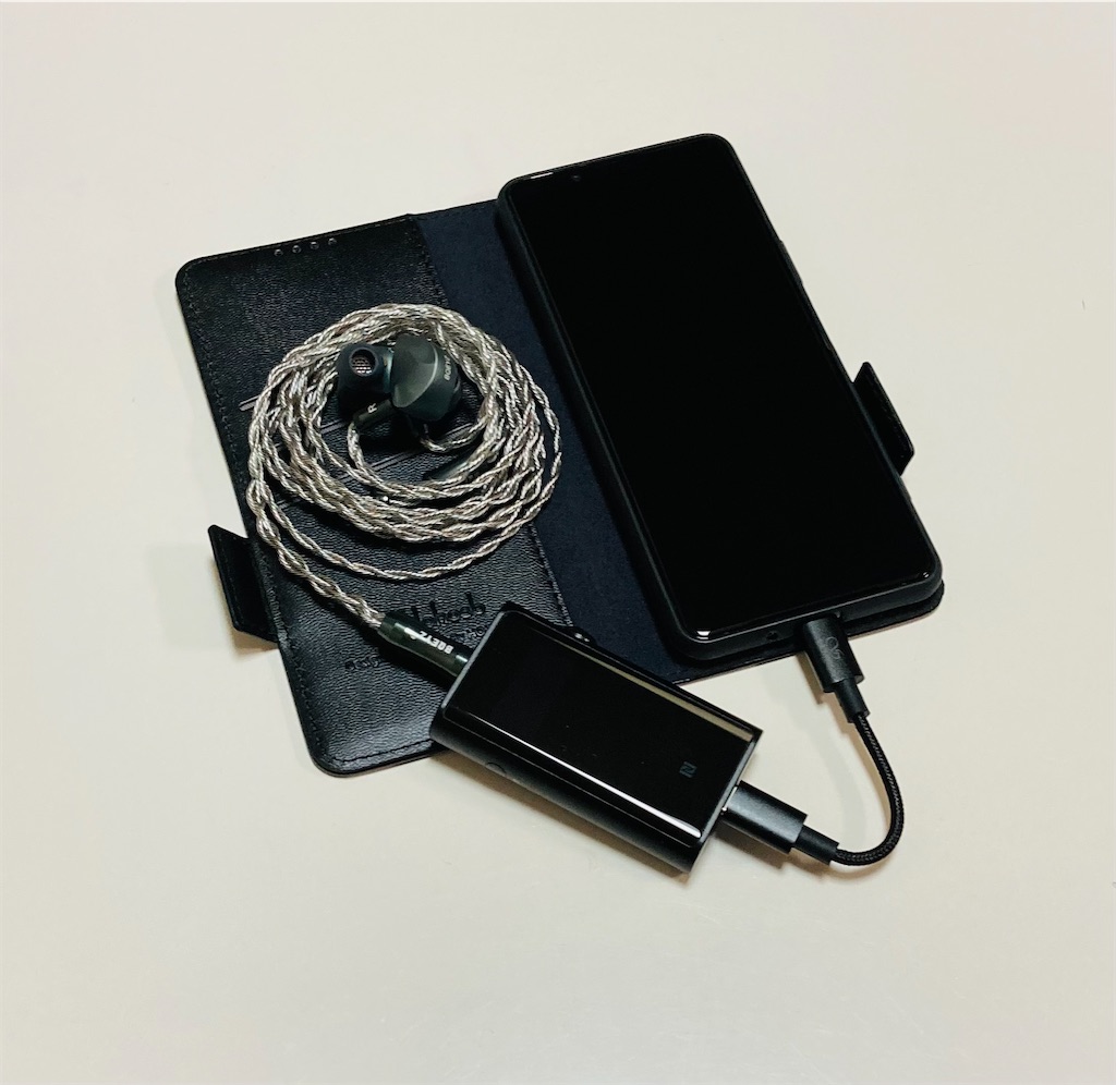 Shanling up 5 fiio lt3 otg ケーブルが付属
