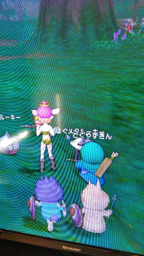 メタルーキー軍団様 みっちゃん先生のスライム狩り