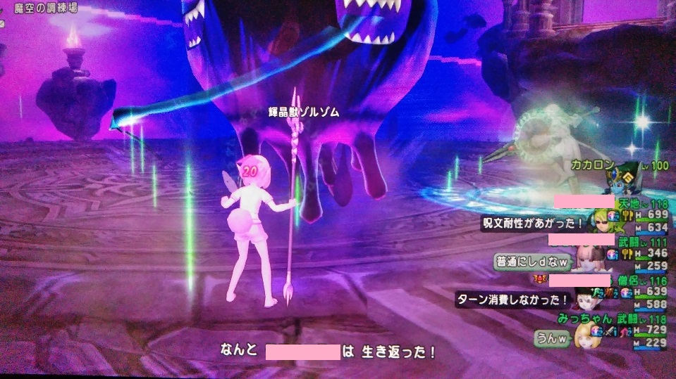 久々にパラディンの出番 みっちゃん先生のスライム狩り