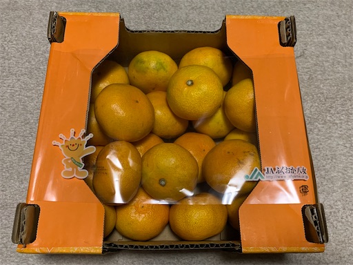 コストコで八女みかん買ってみたよ。 - みゆねほ、神社仏閣へ行きまーす！