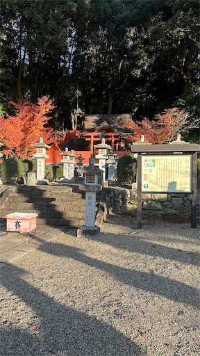 f:id:miisa-handmade:20250112080403j:image
