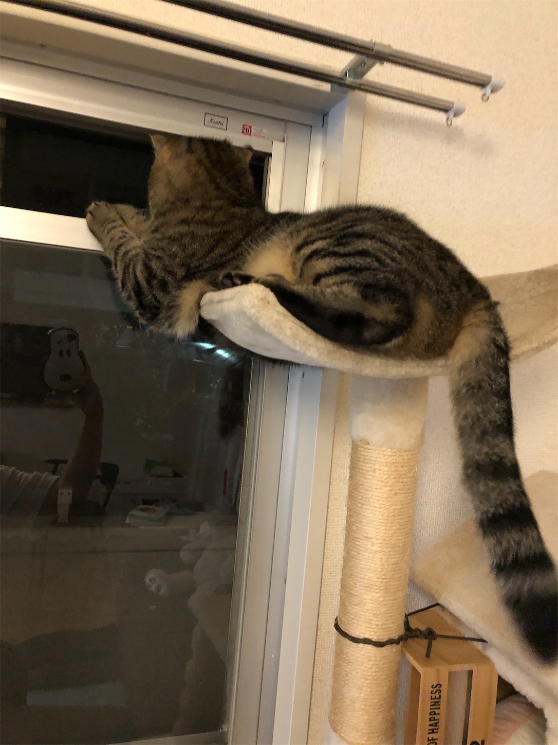 f:id:miisuketan:20201214105724j:image