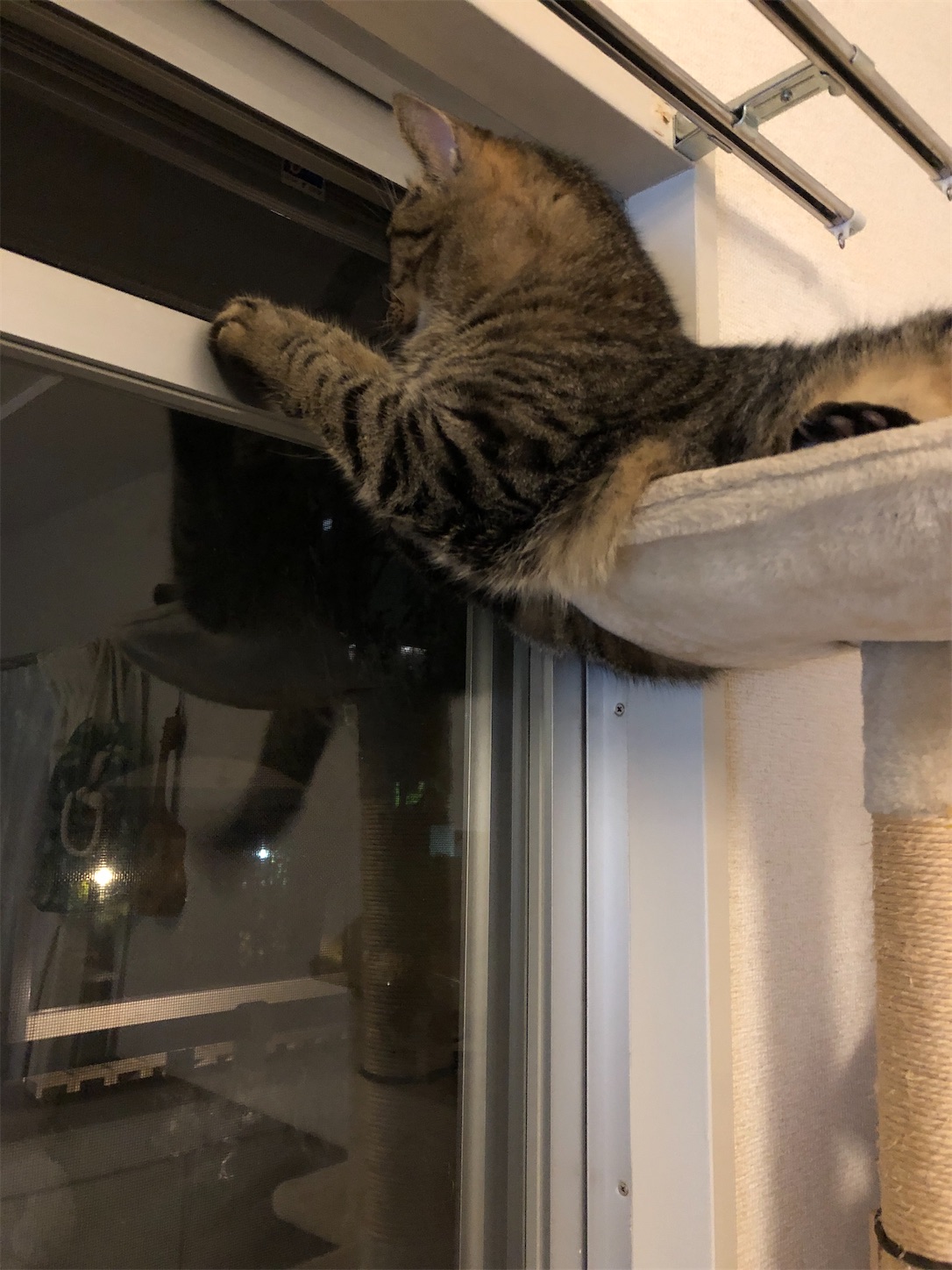 f:id:miisuketan:20201214105728j:image