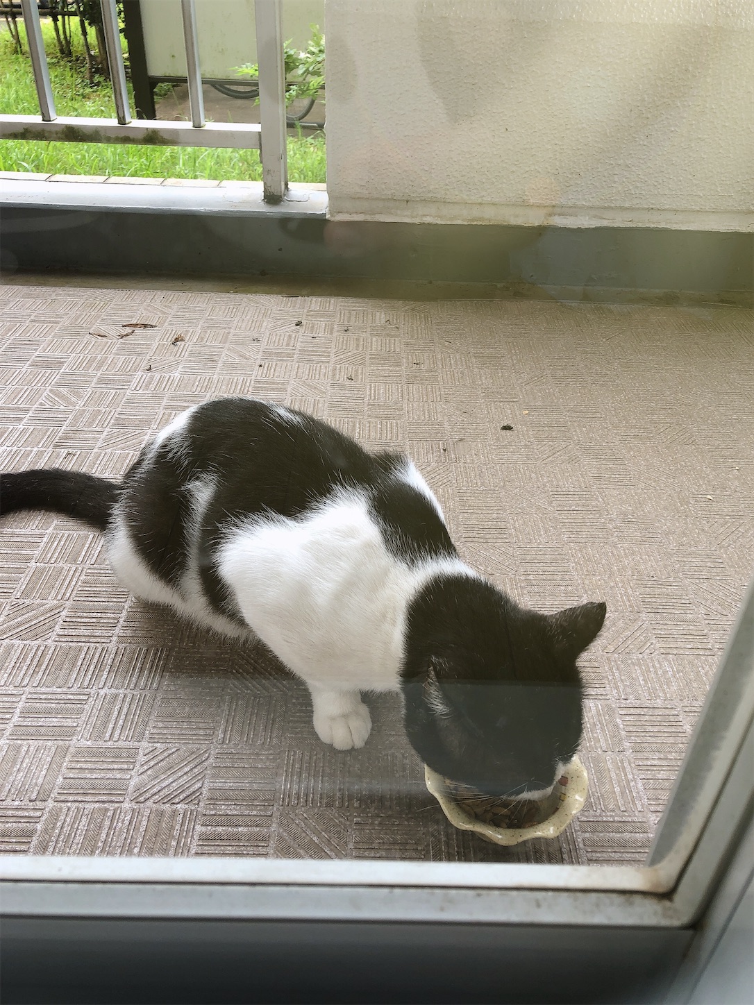 f:id:miisuketan:20201216194127j:image