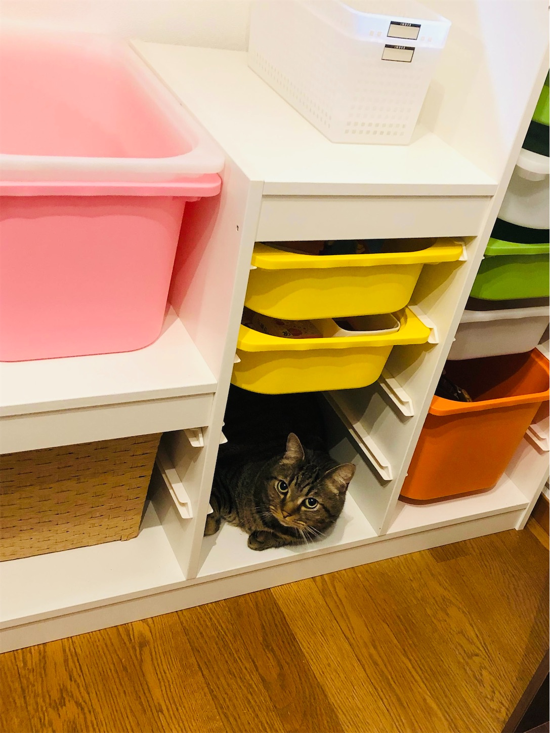 f:id:miisuketan:20240405183437j:image