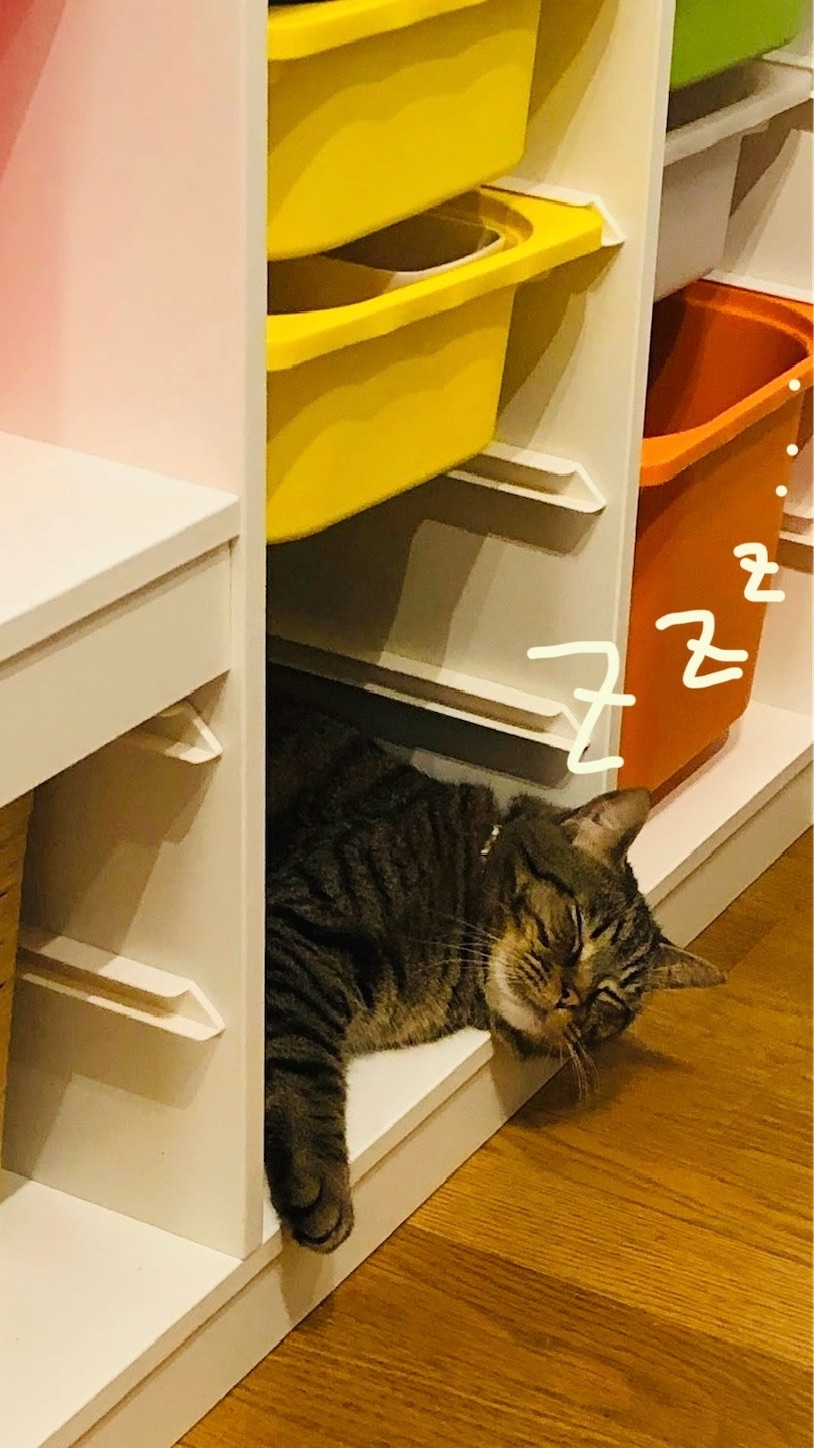 f:id:miisuketan:20240405183444j:image