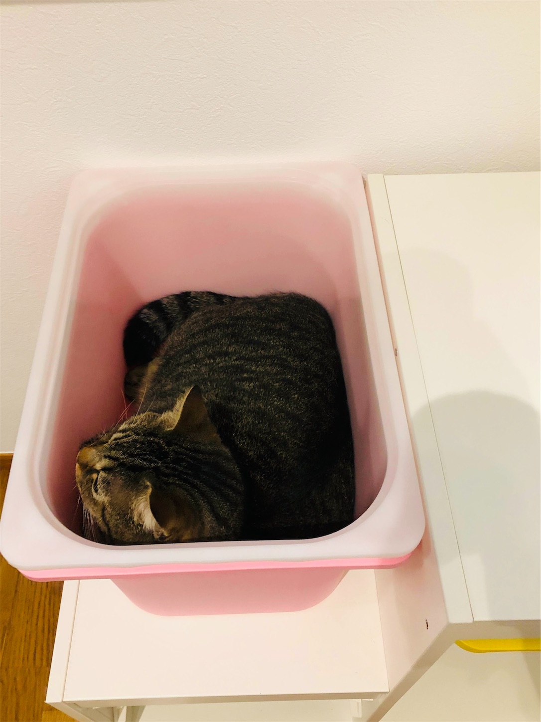 f:id:miisuketan:20240405183451j:image