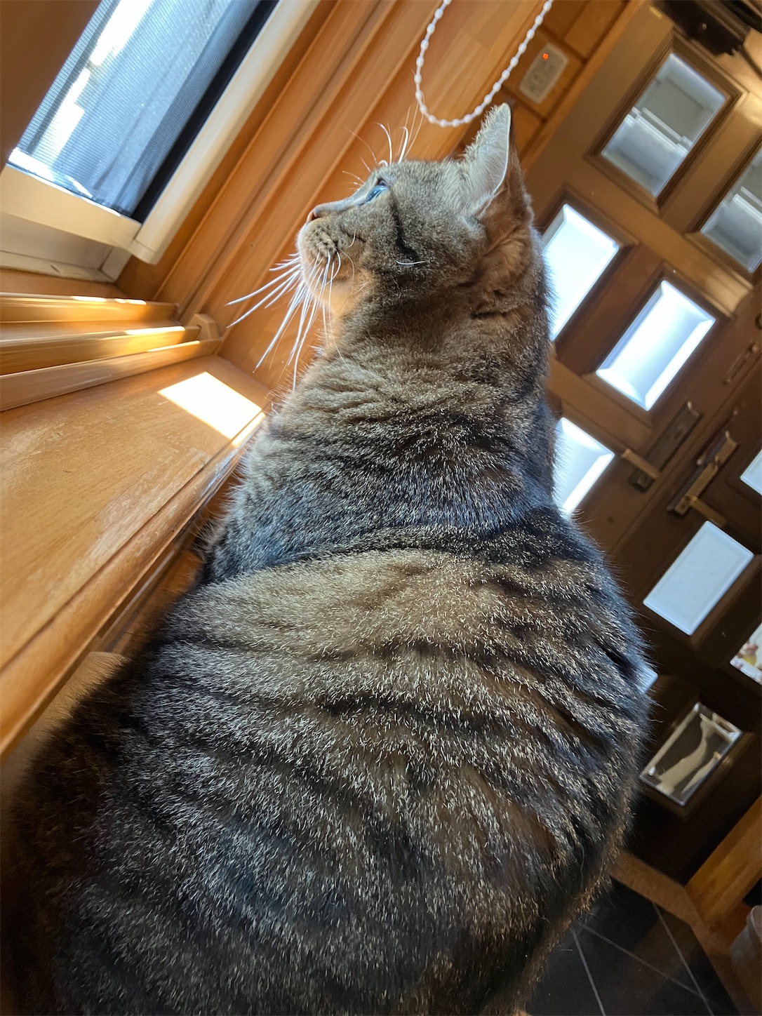 f:id:miisuketan:20250831092448j:image