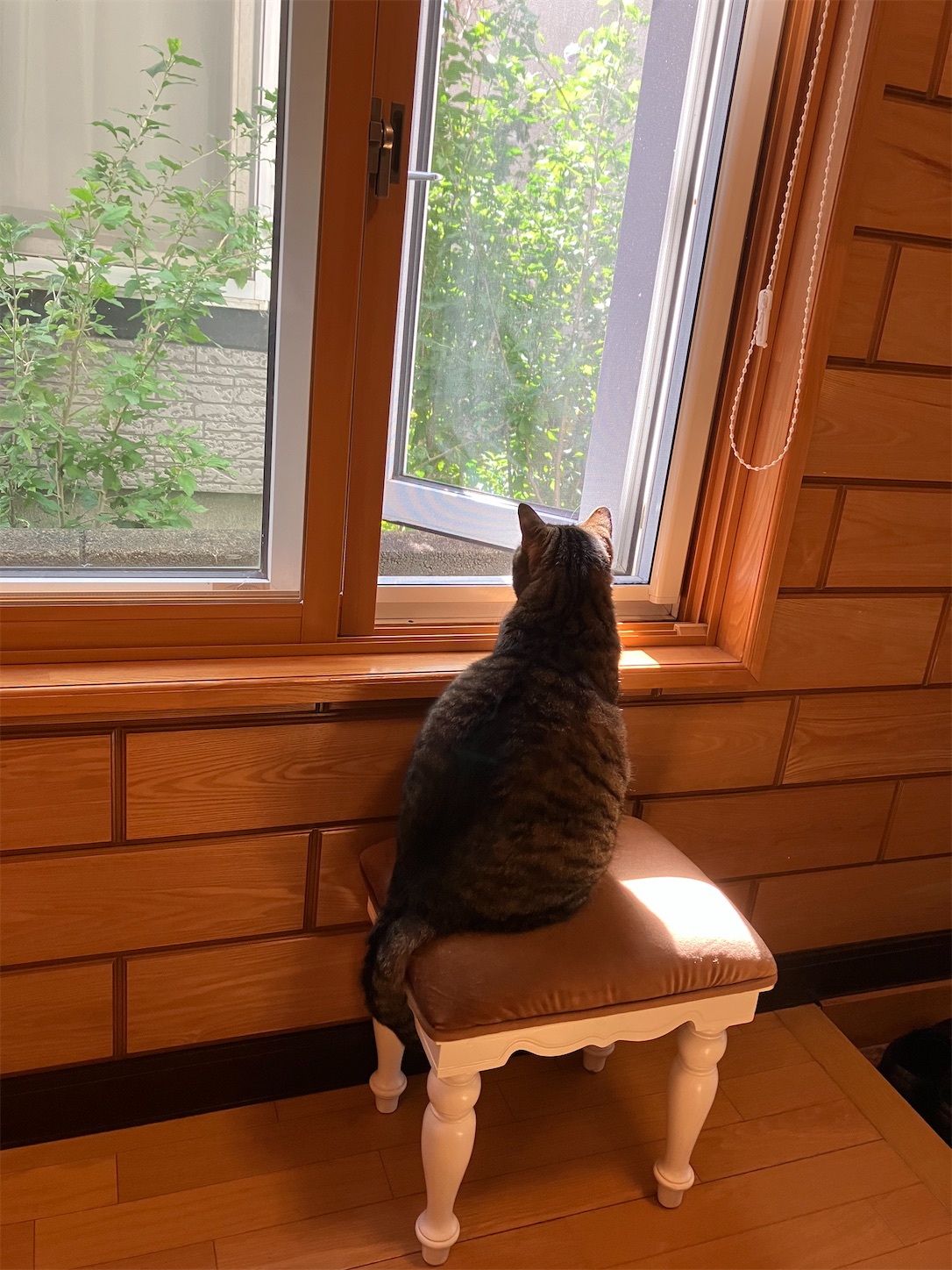 f:id:miisuketan:20250831092500j:image