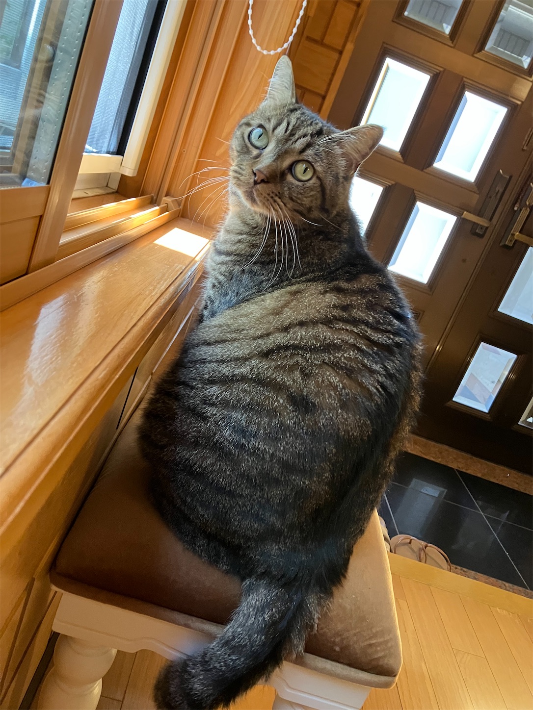 f:id:miisuketan:20250831094136j:image