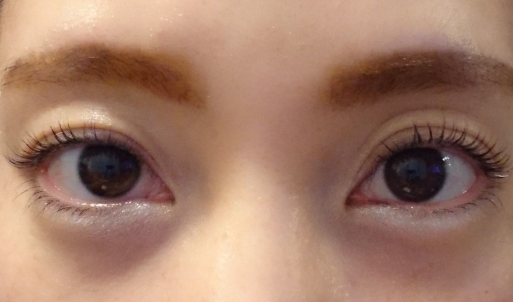 f:id:miityo_51:20190226164011j:plain