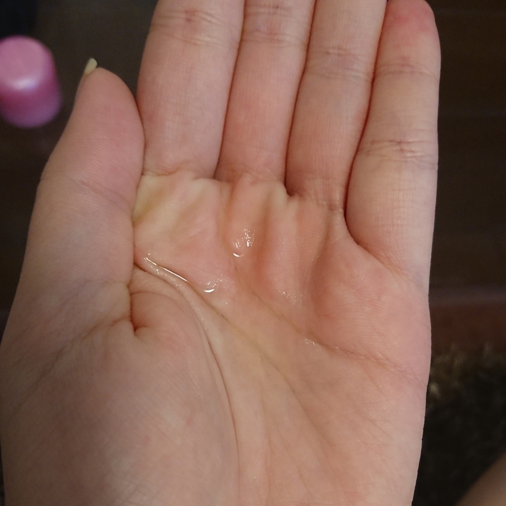 f:id:miityo_51:20190308080543j:plain