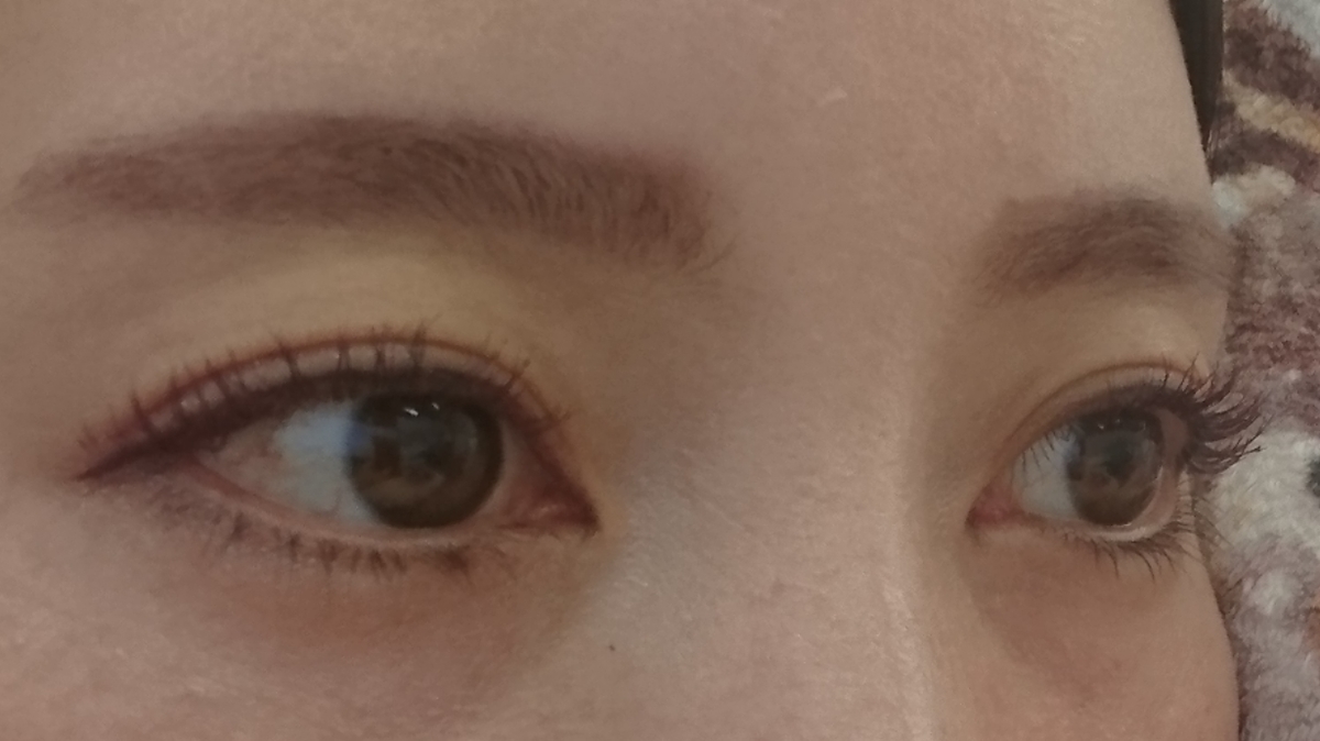 f:id:miityo_51:20190416140046j:plain