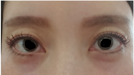 f:id:miityo_51:20190416140445p:plain