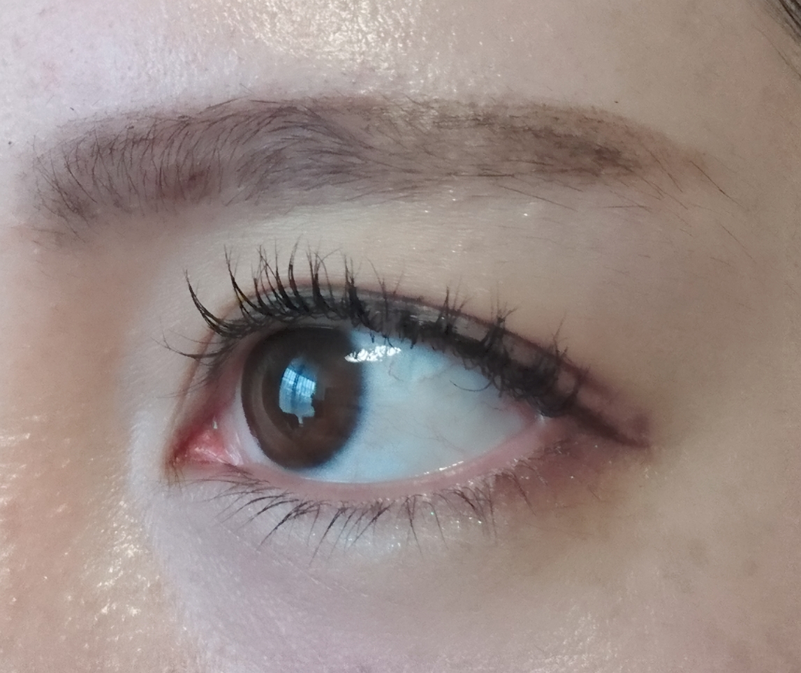 f:id:miityo_51:20190417075632j:plain