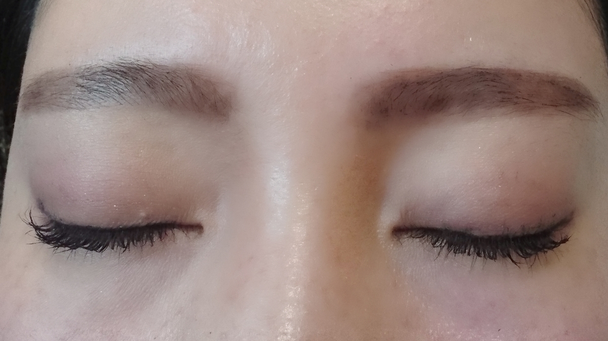 f:id:miityo_51:20190417075700j:plain