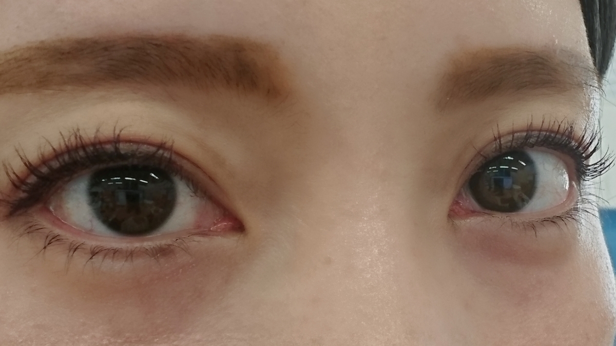 f:id:miityo_51:20190423105244j:plain f:id:miityo_51:20190423105244j:plain