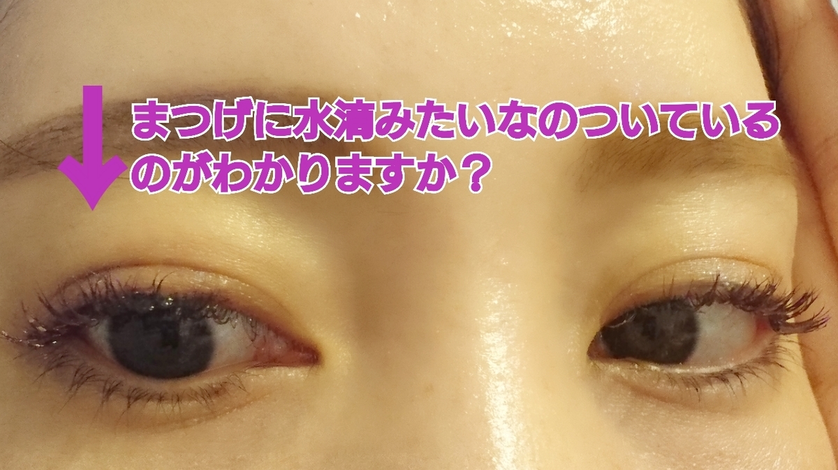 f:id:miityo_51:20190423184606j:plain f:id:miityo_51:20190423184606j:plain