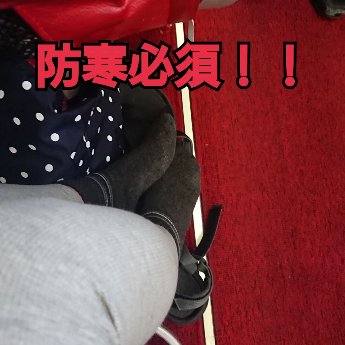f:id:miityo_51:20190812180423j:plain