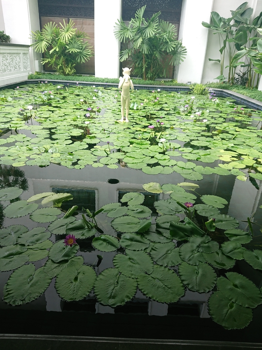 f:id:miityo_51:20190816190017j:plain f:id:miityo_51:20190816190017j:plain