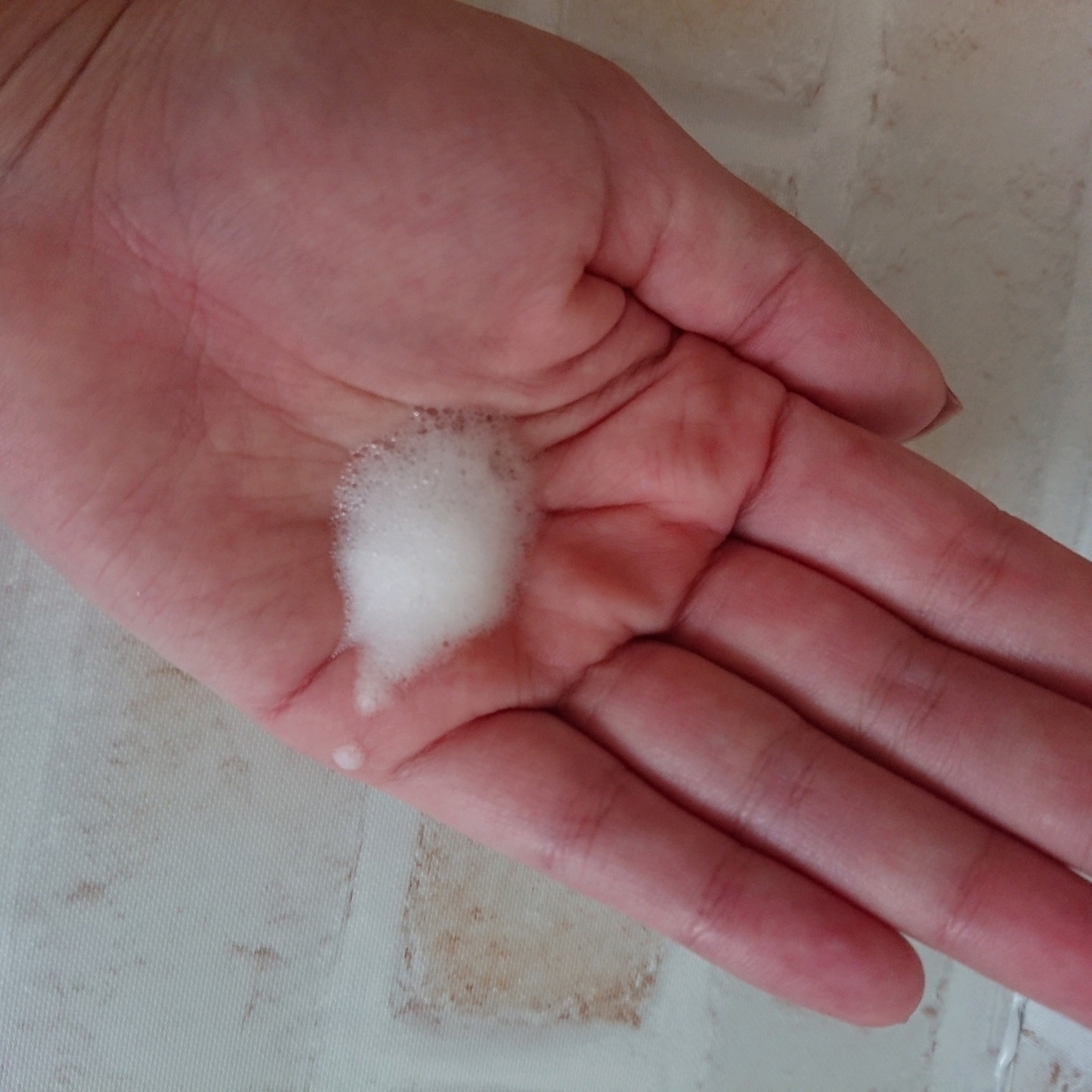 f:id:miityo_51:20191001084913j:plain f:id:miityo_51:20191001084913j:plain