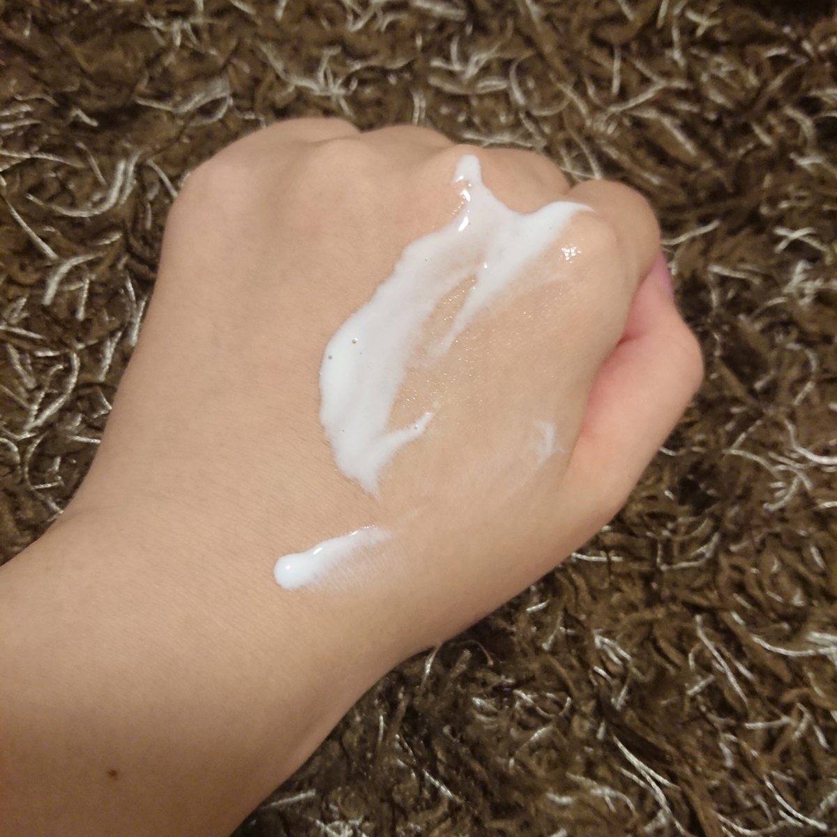 f:id:miityo_51:20191024080342j:plain