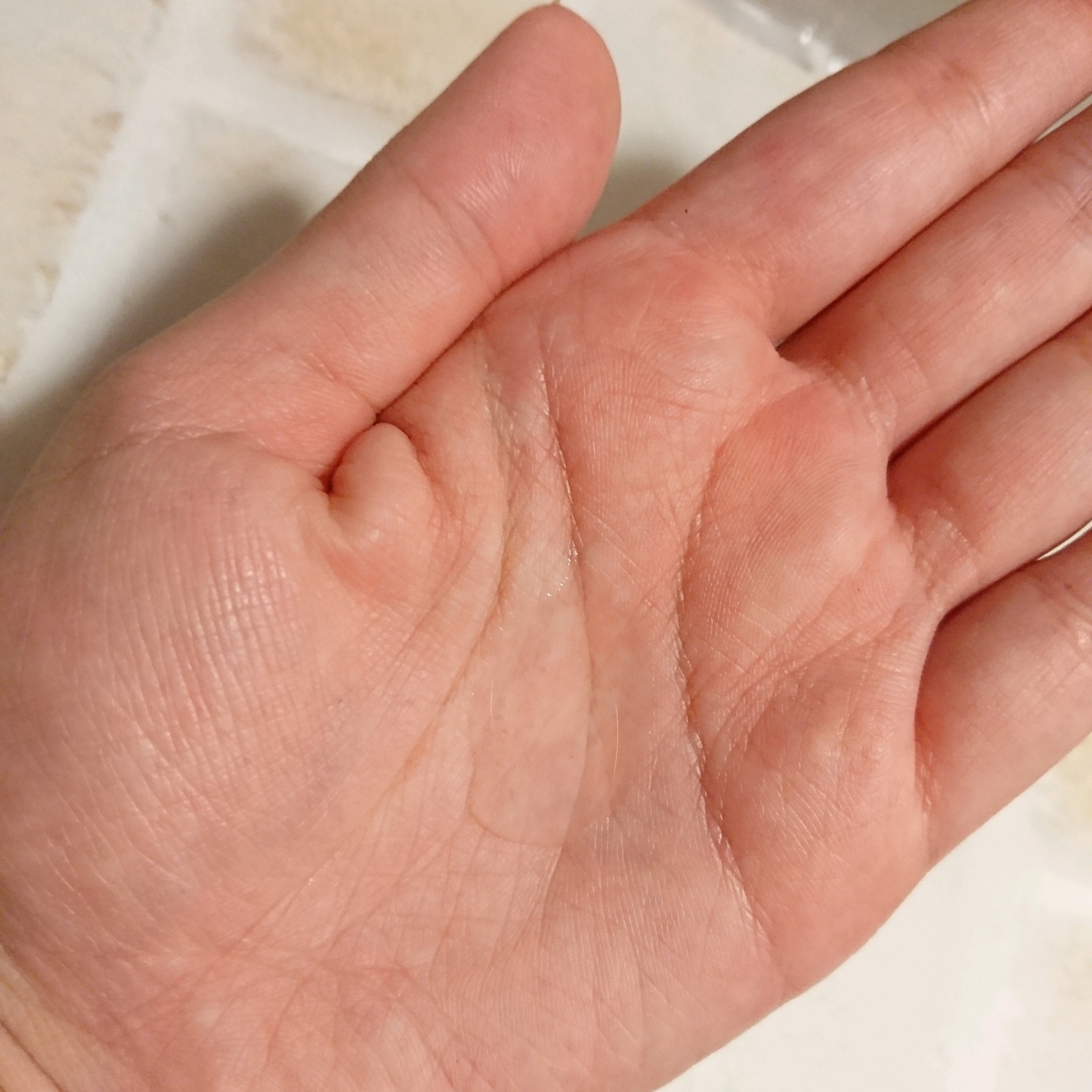 f:id:miityo_51:20191028075756j:plain