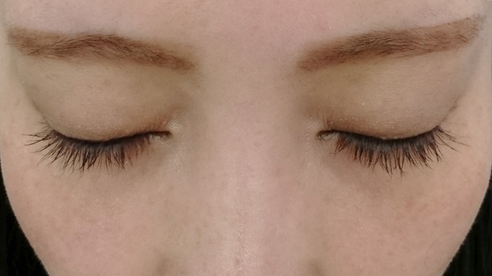 f:id:miityo_51:20191112111110j:plain f:id:miityo_51:20191112111110j:plain