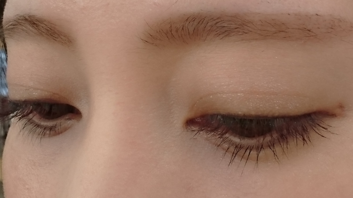 f:id:miityo_51:20191112111517j:plain f:id:miityo_51:20191112111517j:plain