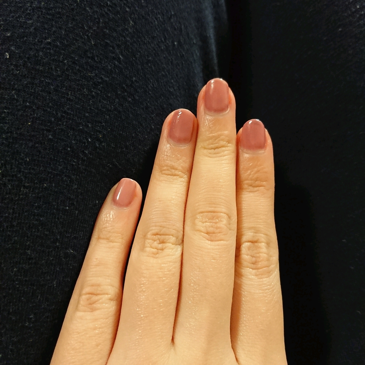 f:id:miityo_51:20191210212828j:plain f:id:miityo_51:20191210212828j:plain