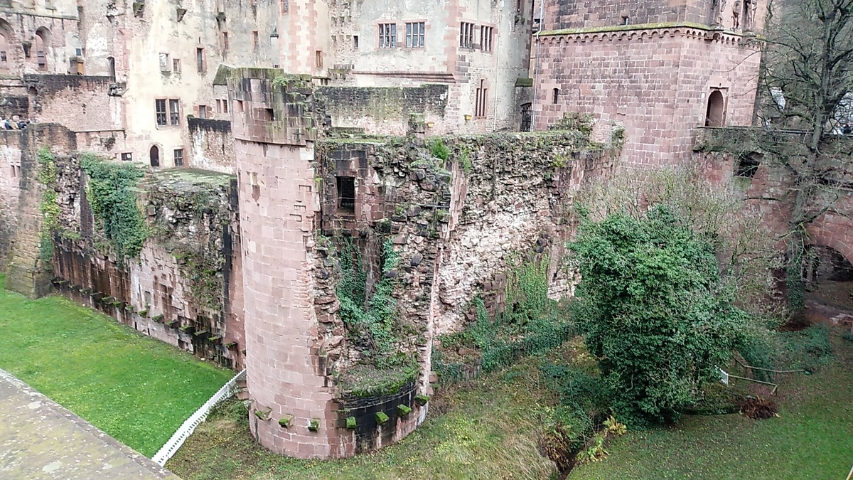 f:id:miityo_51:20200106134228j:plain f:id:miityo_51:20200106134228j:plain