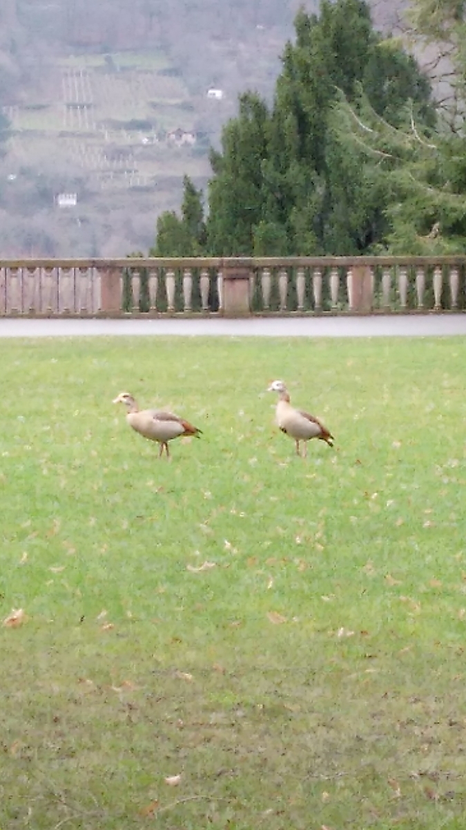 f:id:miityo_51:20200106134441j:plain f:id:miityo_51:20200106134441j:plain