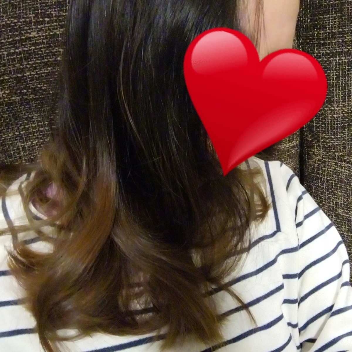 f:id:miityo_51:20200210090539j:plain