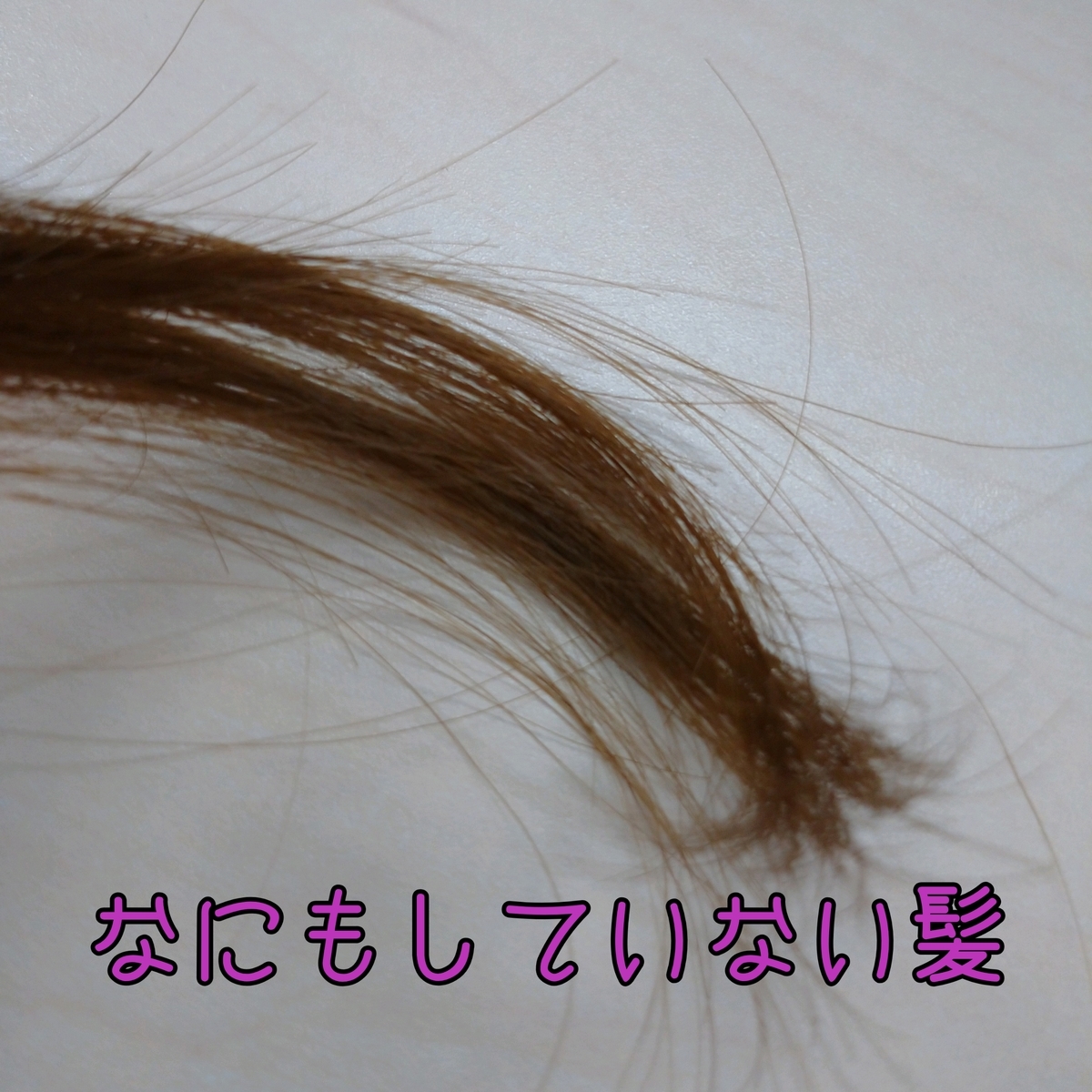 f:id:miityo_51:20200304105752j:plain