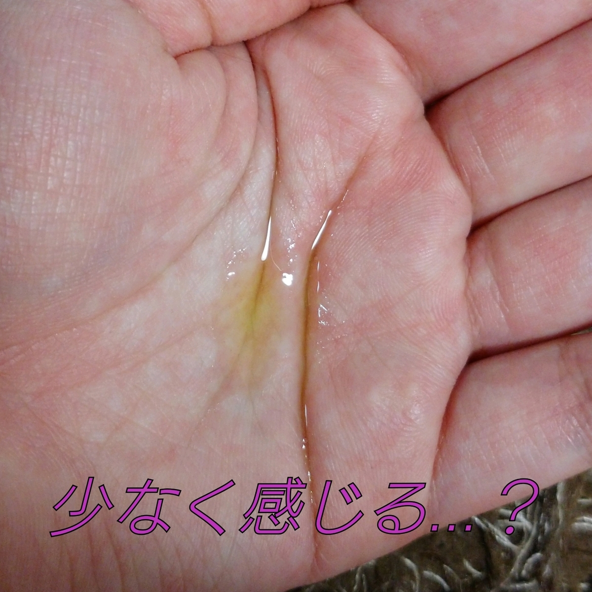 f:id:miityo_51:20200516211228j:plain