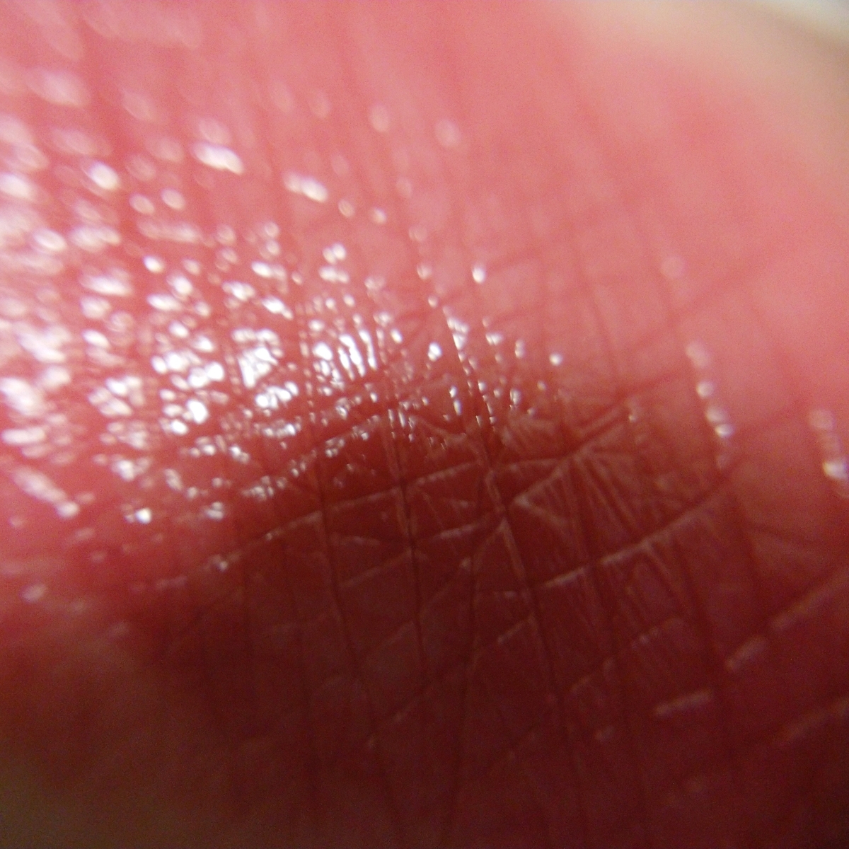 f:id:miityo_51:20200522154314j:plain