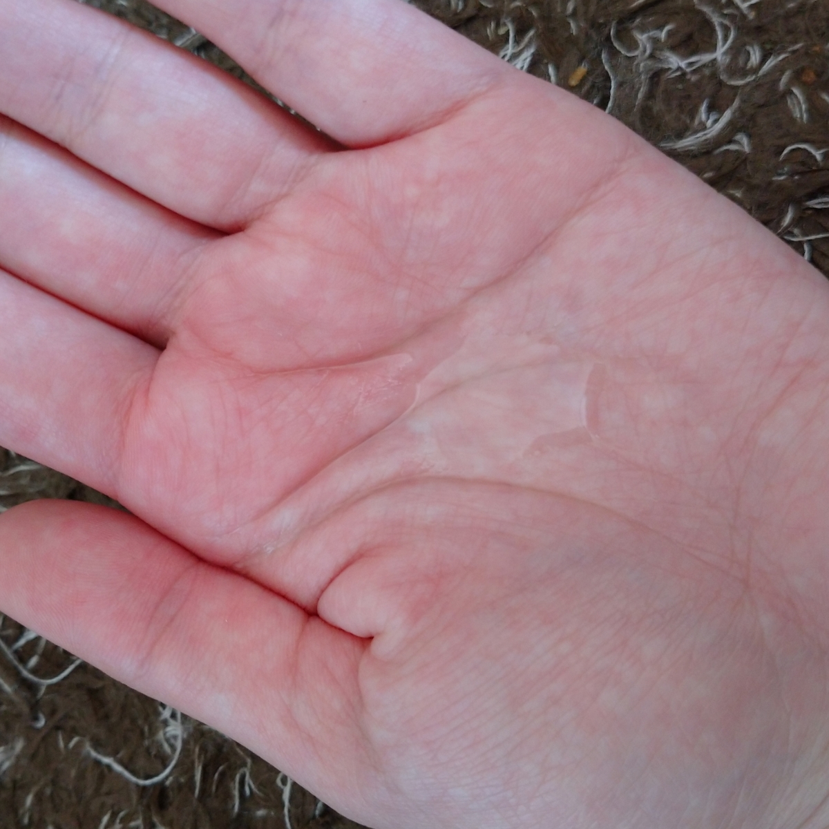 f:id:miityo_51:20201117121807j:plain