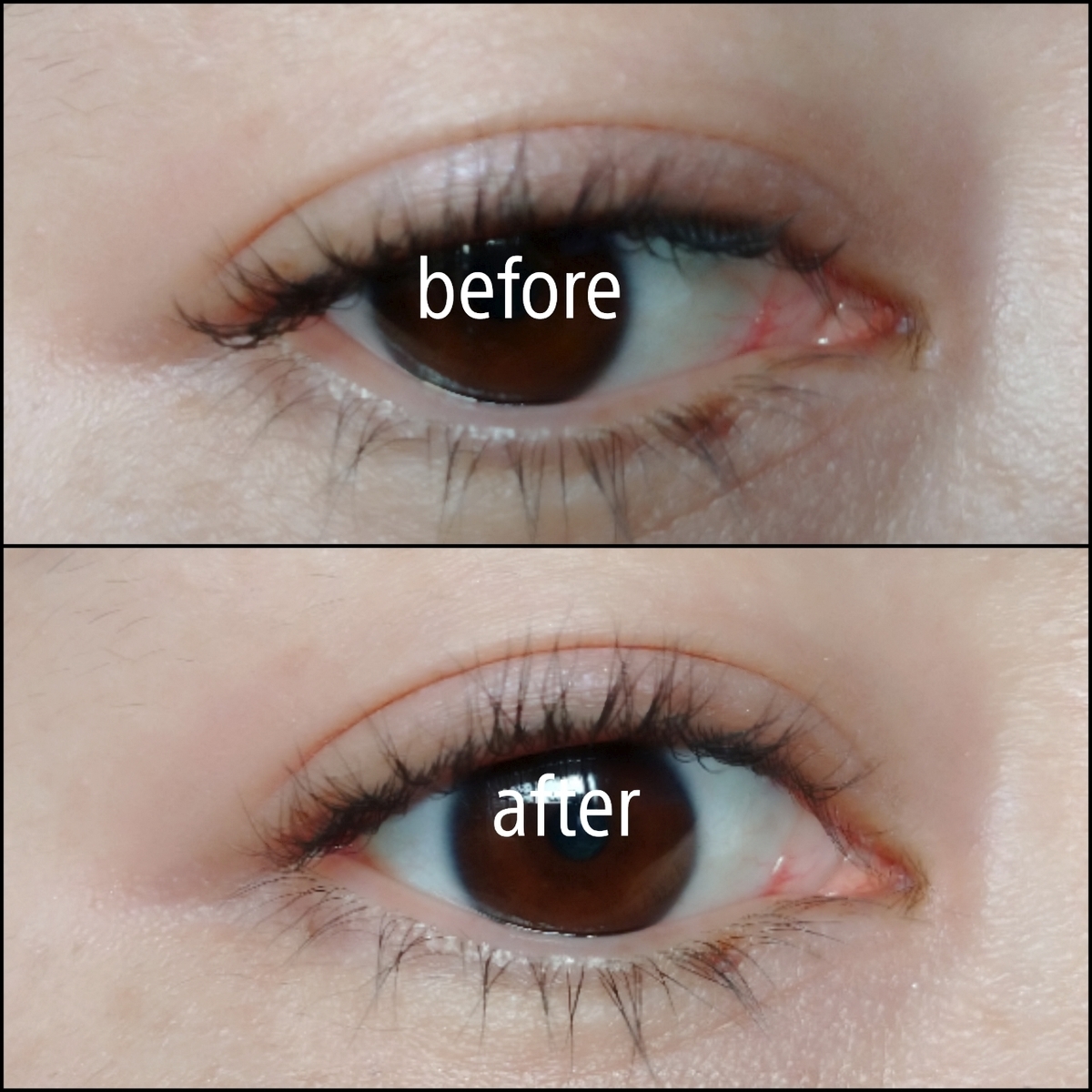 f:id:miityo_51:20210301110357j:plain