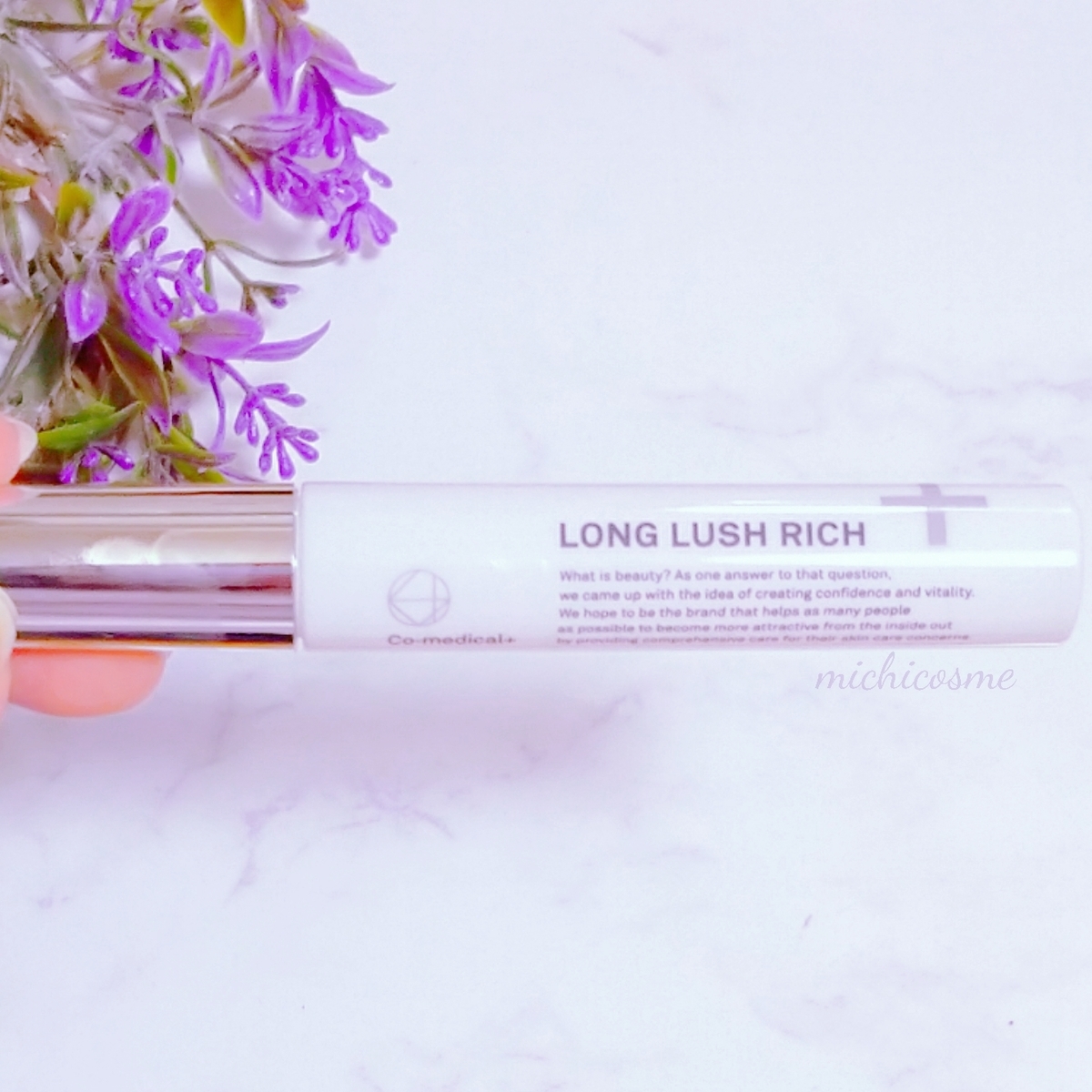 f:id:miityo_51:20211102124643j:plain