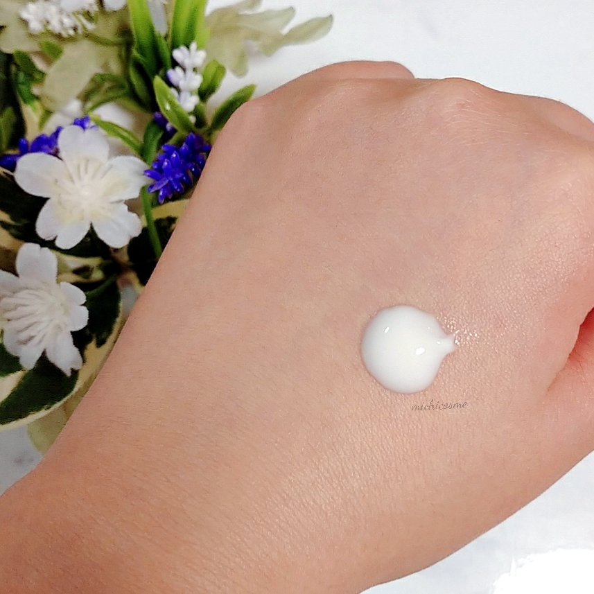 f:id:miityo_51:20211118175257j:plain