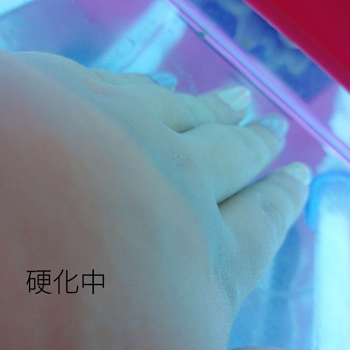 f:id:miityo_51:20211211201126j:plain