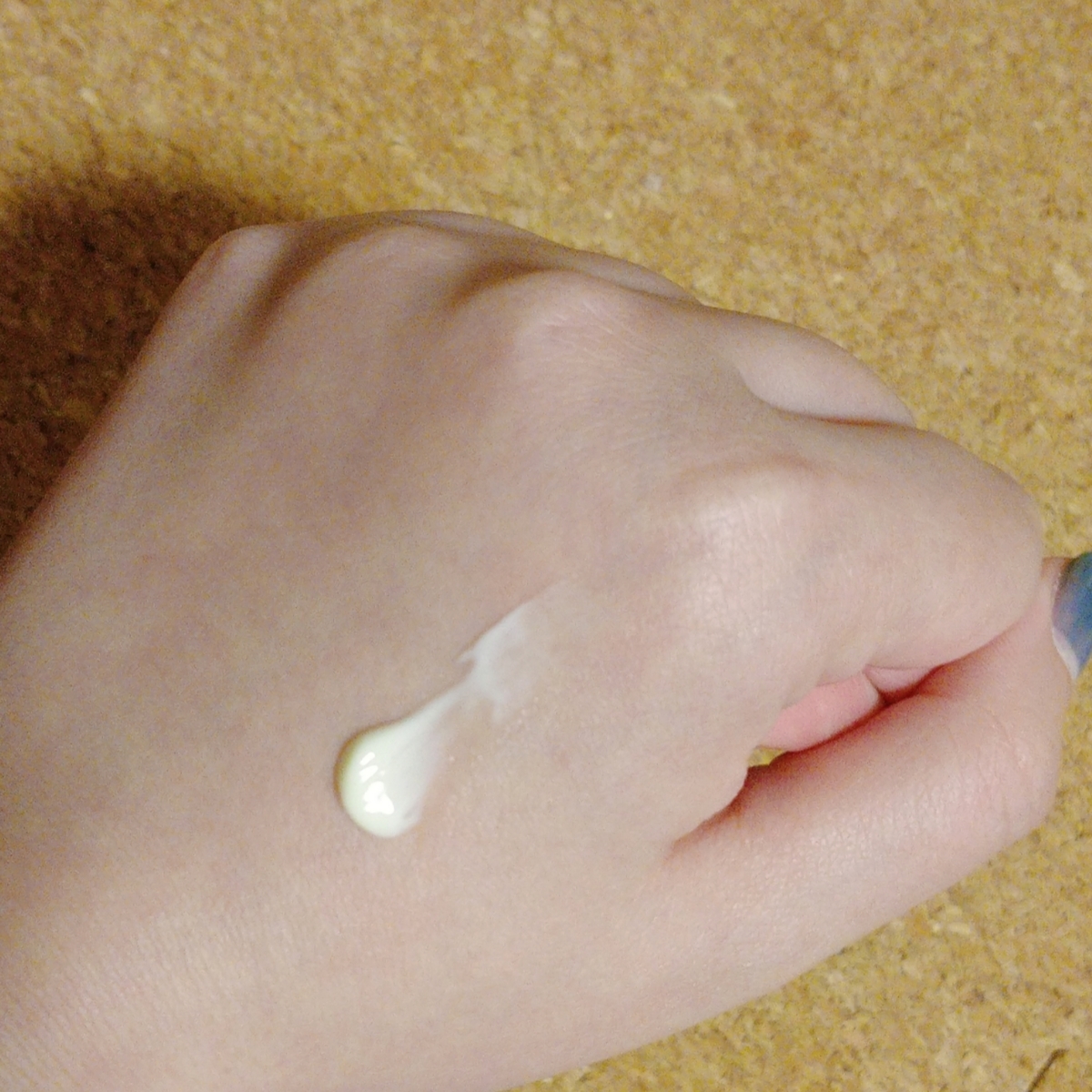 f:id:miityo_51:20220107205536j:plain