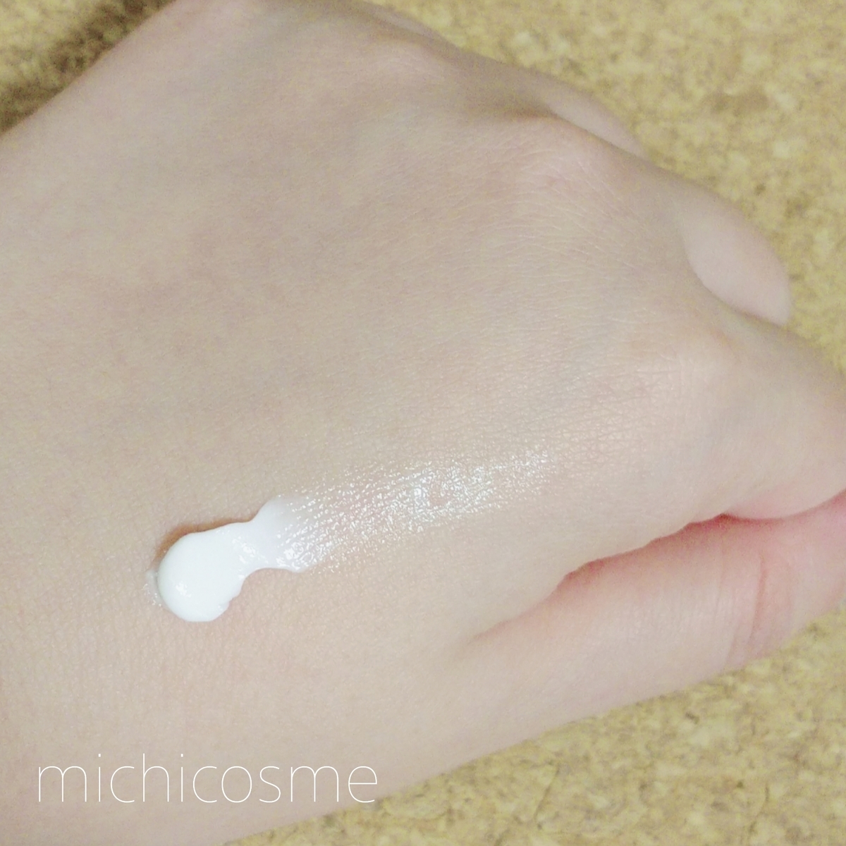 f:id:miityo_51:20220109202533j:plain