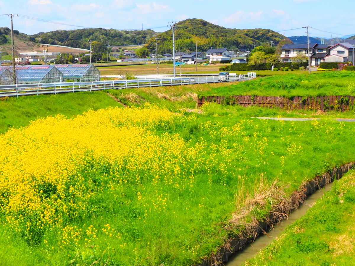 f:id:miiy_430:20200907105542j:plain