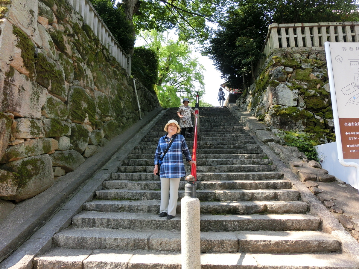 f:id:mijinyamatanishi:20190514160334j:plain f:id:mijinyamatanishi:20190514160334j:plain