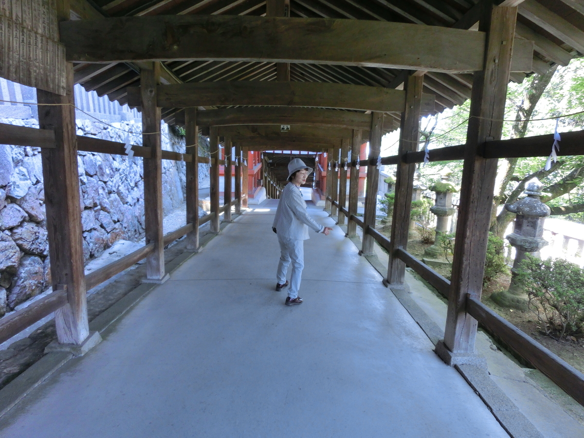 f:id:mijinyamatanishi:20190514160615j:plain f:id:mijinyamatanishi:20190514160615j:plain