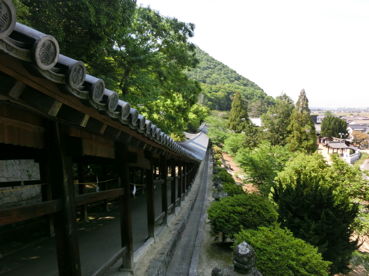 f:id:mijinyamatanishi:20190514160643j:plain f:id:mijinyamatanishi:20190514160643j:plain
